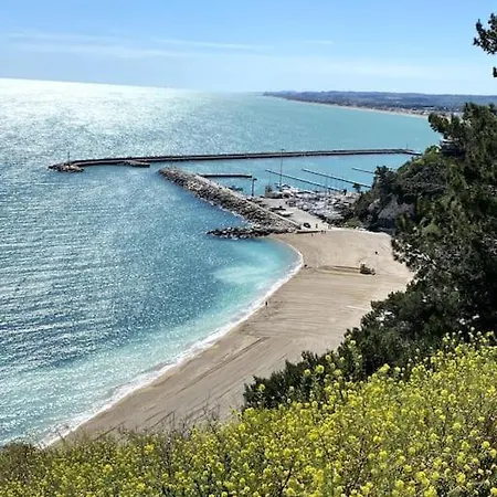 Esclusivo Nella Piazza Di *